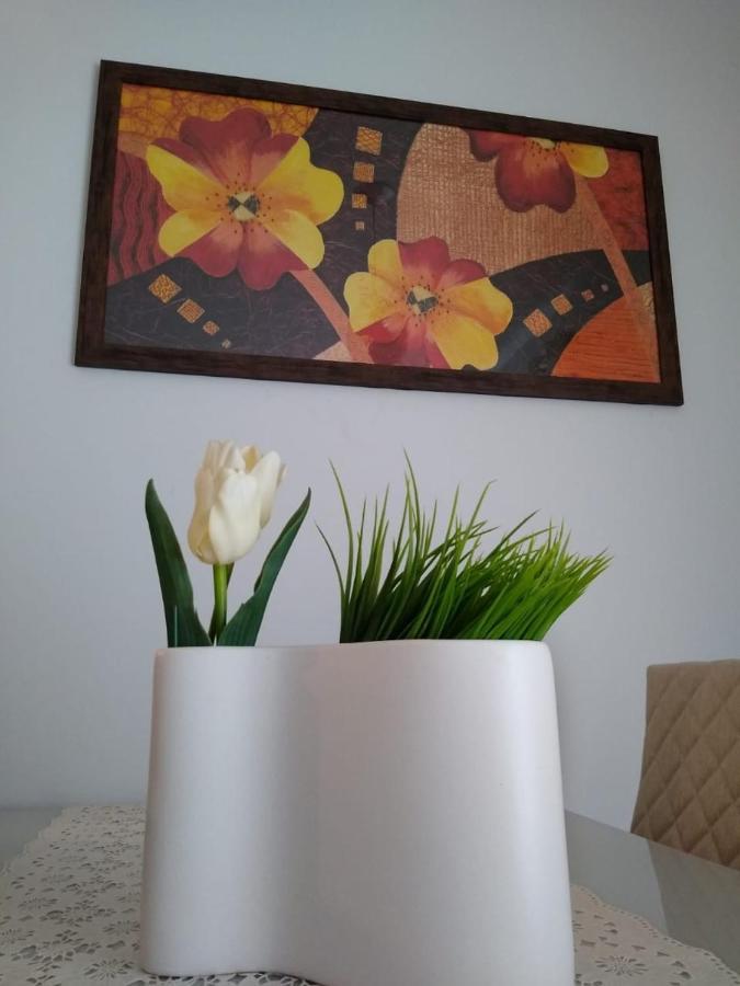 Apartamento Giardino Araucaria 301 Apartman Canela Kültér fotó